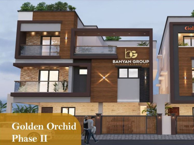 Golden Orchid Phase II