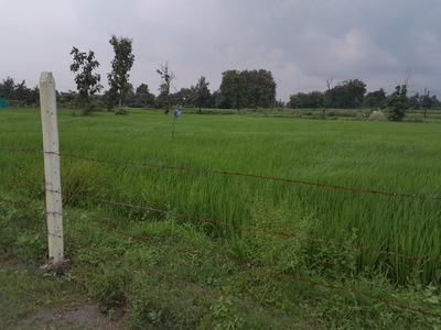Industrial Land 1 Acre for Sale in Waraseoni, Balaghat