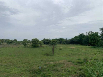 Industrial Land 100 Acre for Sale in Perunagar, Kanchipuram