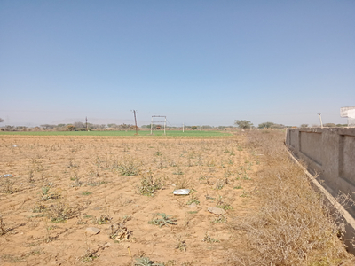 Industrial Land 13 Bigha for Sale in
