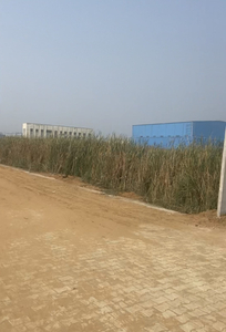 Industrial Land 1882 Sq. Yards for Sale in Sampla, Bahadurgarh