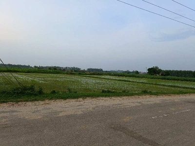 Industrial Land 2 Acre for Sale in Shahzadpur, Ambala
