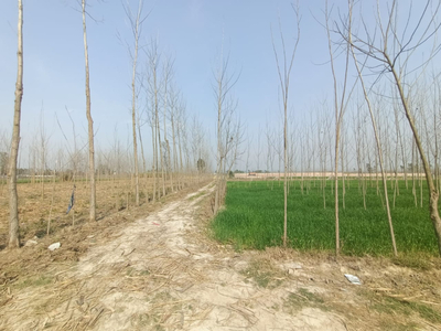 Industrial Land 61 Bigha for Sale in