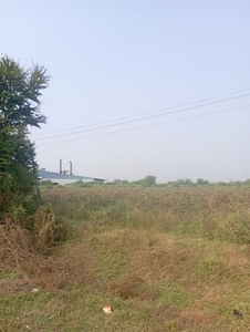 Industrial Land 6500000 Bigha for Sale in Karjan, Vadodara