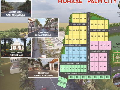 Mohaae Palm City