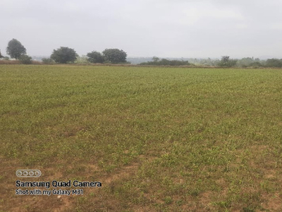 Residential Plot 1 Acre for Sale in Kinassery, Palakkad