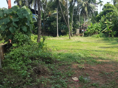 Residential Plot 10 Cent for Sale in Athani, Thrissur