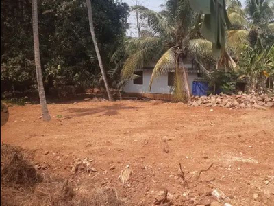Residential Plot 11 Cent for Sale in Chelakkottukara, Thrissur