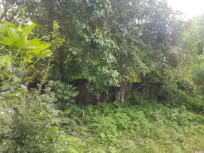 Residential Plot 138 Cent for Sale in Vadakkencherry, Palakkad