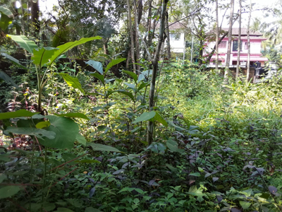 Residential Plot 15 Cent for Sale in Thondayad, Kozhikode
