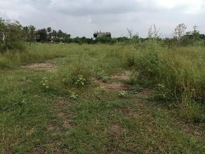 Residential Plot 1650 Sq.ft. for Sale in Nggo Colony, Coimbatore