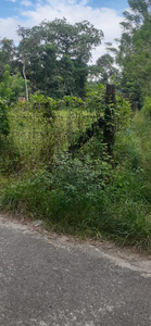 Residential Plot 18 Cent for Sale in Aaryad, Alappuzha