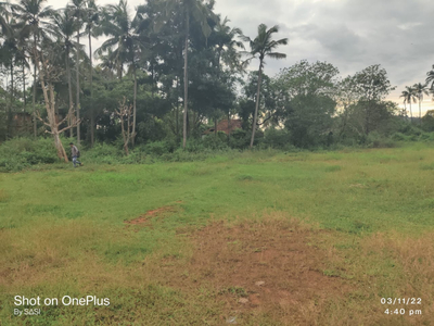 Residential Plot 2 Acre for Sale in Thottada, Kannur