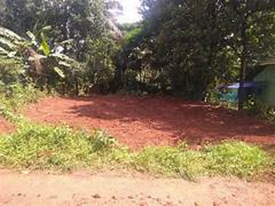 Residential Plot 2 Acre for Sale in Vadakkencherry, Palakkad