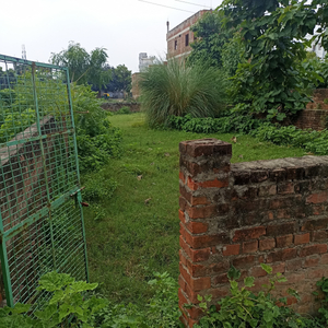 Residential Plot 2 Biswa for Sale in