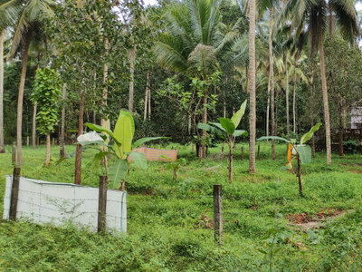 Residential Plot 20 Cent for Sale in Kongad, Palakkad