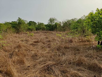 Residential Plot 200 Acre for Sale in