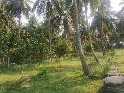 Residential Plot 200 Cent for Sale in Mangalam Dam, Palakkad
