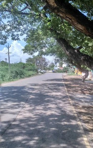 Residential Plot 2400 Sq.ft. for Sale in Koodal Nagar, Madurai