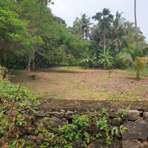 Residential Plot 27 Cent for Sale in