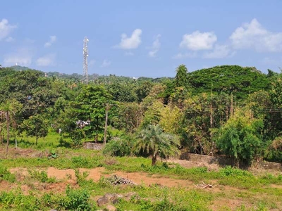 Residential Plot 3 Acre for Sale in