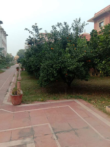 Residential Plot 370 Sq. Yards for Sale in Jawaharnagar Colony,