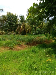 Residential Plot 44 Cent for Sale in