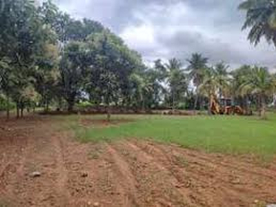 Residential Plot 45 Cent for Sale in Pattambi, Palakkad