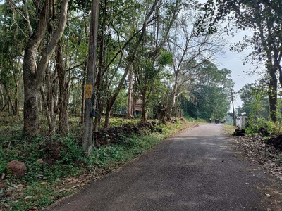 Residential Plot 5000 Sq. Meter for Sale in Siolim, Bardez, Goa