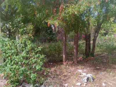 Residential Plot 6 Cent for Sale in Navavoor Pirivu, Coimbatore