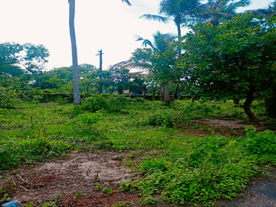 Residential Plot 700 Sq. Meter for Sale in Sequeira Vaddo,