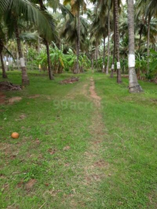 Residential Plot 90 Cent for Sale in Ottapalam, Palakkad