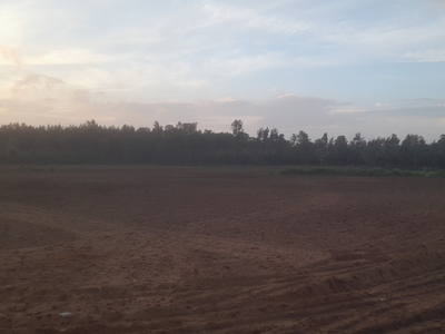 3 BHK Farm House 200 Sq. Yards for Sale in Araku, Visakhapatnam