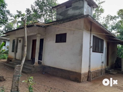 3 Bhk House on 10 cents land (area unaffected by flooding)