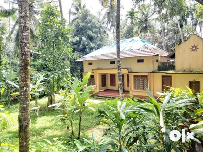 38 cent land and 2bhk house for sale in elattery koyilandy