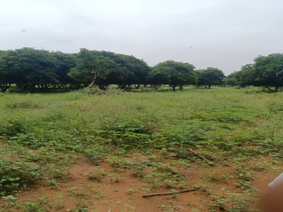 Agricultural Land 13 Acre for Sale in
