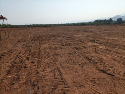 Agricultural Land 14 Acre for Sale in Golagamudi, Nellore