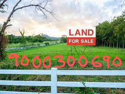 Agricultural Land 250 Acre for Sale in