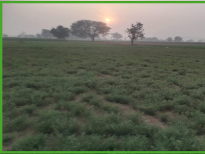 Agricultural Land 3 Acre for Sale in Sector 13 IMT Manesar Gurgaon
