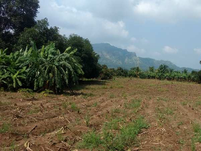 Agricultural Land 3 Ares for Sale in Shirishpada Village, Palghar