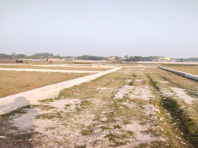 Agricultural Land 4 Biswa for Sale in Parao, Varanasi