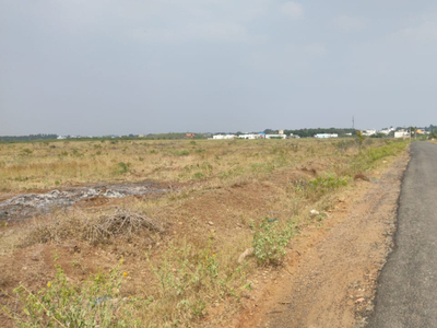 Agricultural Land 435000 Sq.ft. for Sale in Pappampatti, Coimbatore
