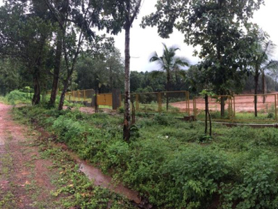 Agricultural Land 7 Acre for Sale in Beltangadi, Dakshin Kannad