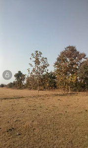 Agricultural Land 9 Acre for Sale in Narkhed, Nagpur