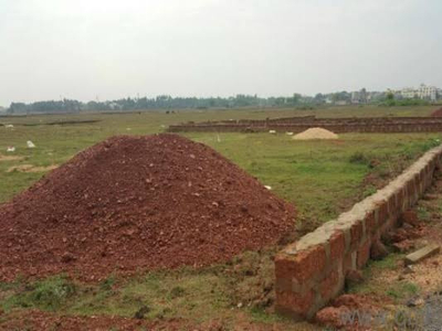 Commercial Land 127 Dismil for Sale in Bhanupratappur, Kanker