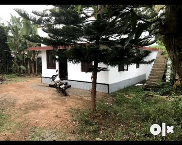 Independent house near Rajagiri Hospital Aluva
