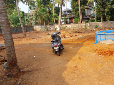 Residential Plot 11 Cent for Sale in Nadathara, Thrissur