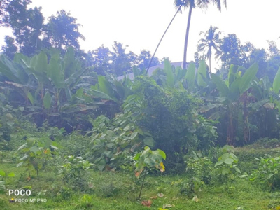 Residential Plot 53 Cent for Sale in Chalakudy, Thrissur