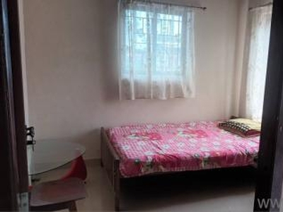 1 BHK 1000 Sq. ft Apartment for rent in Gandhi Nagar, Kochi