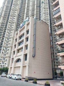 1000 sq ft 2 BHK 2T Apartment for rent in Sikka Karmic Greens at Sector 78, Noida by Agent Shri Ram Real Estate